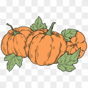 Pumpkin Patch Clipart - Pumpkin, HD Png Download - pumpkin patch png