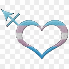 Transgender Pride Heart Shaped Transgender Symbol In - Transgender Pride Symbol, HD Png Download - transgender png