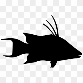 Fish Hog Snapper Shape - Portable Network Graphics, HD Png Download - hog png