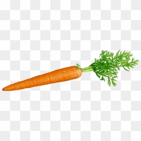 Carrot And Stick Png - Transparent Background Carrot Transparent, Png Download - beets png