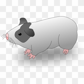 Guinea Pig Clip Arts - Gambar Marmut Animasi, HD Png Download - guinea pig png