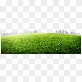 Meadow 5200*3458 Transprent Png Free Download , Png, Transparent Png - meadow png