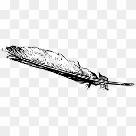 Eagle Feather Clip Art, HD Png Download - feather png