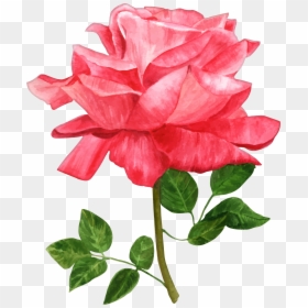 Watercolor Flowers Png, Transparent Png - watercolor flowers png