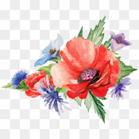 Transparent Poppy Flower Watercolor, HD Png Download - watercolor flowers png