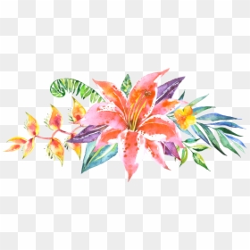 Water Color Flower Line, HD Png Download - watercolor flowers png