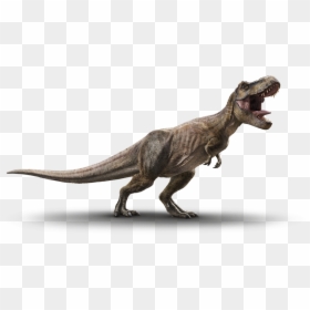 Tyrannosaurus Rex, HD Png Download - dinosaur png