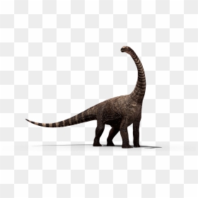 Imagens De Dinossauros Em Png, Transparent Png - dinosaur png
