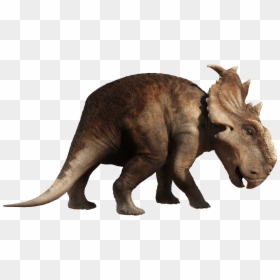 Dinosaur Png, Transparent Png - dinosaur png