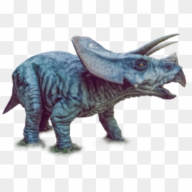 Dinosaur Triceratops Png, Transparent Png - dinosaur png