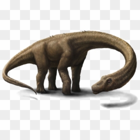 Big Dinosaurs In The World, HD Png Download - dinosaur png