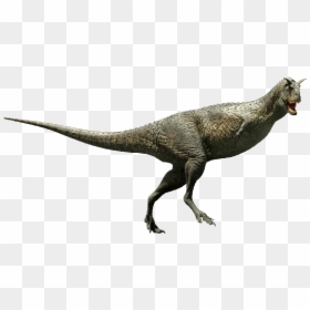 Carnotaurus Hands, HD Png Download - dinosaur png