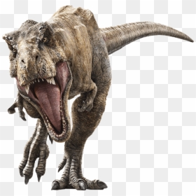 Jurassic World Fallen Kingdom T Rex, HD Png Download - dinosaur png