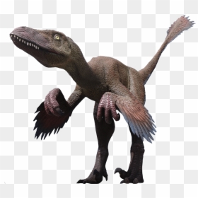 Deinonychus Png, Transparent Png - dinosaur png