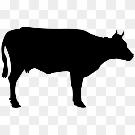 Cow Black Png, Transparent Png - cow png