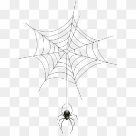 Spider Web Clip Art Transparent, HD Png Download - spider png