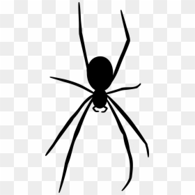 Spider Silhouette Png, Transparent Png - spider png