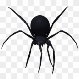 Black Widow Spider Png, Transparent Png - spider png