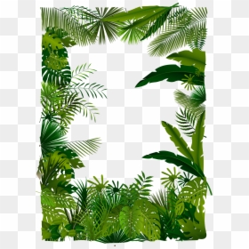 Tropical Forest Vector Png, Transparent Png - forest png