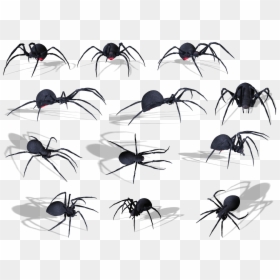 Membrane-winged Insect, HD Png Download - spider png