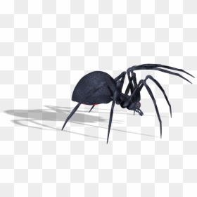 Black Widow Spider Png Transparent, Png Download - spider png