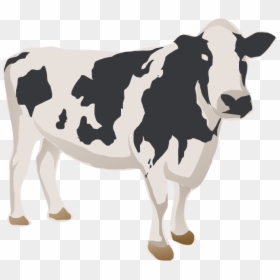 Dairy Cow, HD Png Download - cow png