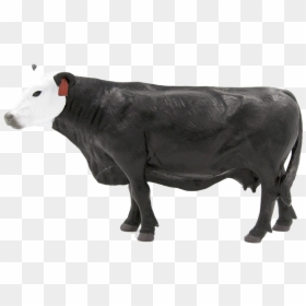 Dairy Cow, HD Png Download - cow png