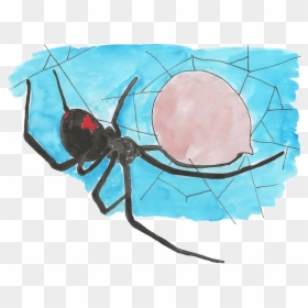 Black Widow, HD Png Download - spider png