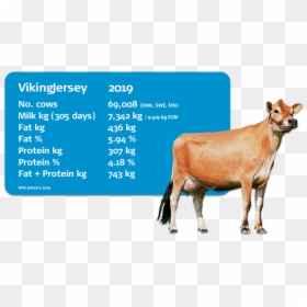 Horse, HD Png Download - cow png