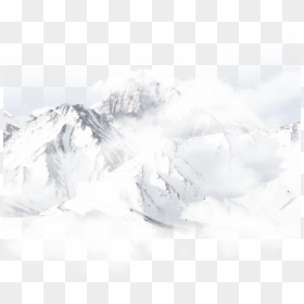 Snow, HD Png Download - forest png