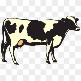 Animal And Plant Product, HD Png Download - cow png