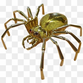 European Garden Spider, HD Png Download - spider png