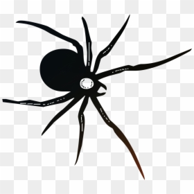 Spider Tattoo Png, Transparent Png - spider png