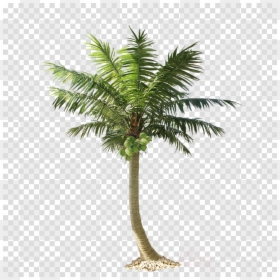 Palm Trees Cut Out, HD Png Download - palm trees png