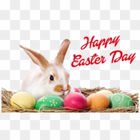 Easter Bunny With Eggs, HD Png Download - easter egg png