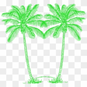 Green Palm Trees Png, Transparent Png - palm trees png