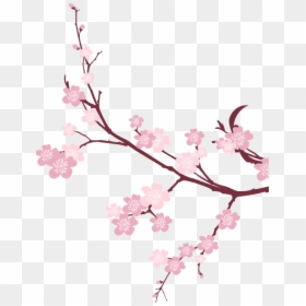 Cherry Blossom Transparent Background, HD Png Download - cherry blossom png