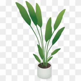 Isometric Plant Illustrator, HD Png Download - plants png