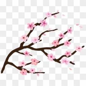Transparent Background Cherry Blossom Clipart, HD Png Download - cherry blossom png
