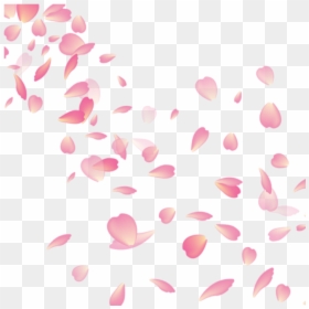 Cherry Blossom Flower Petal, HD Png Download - cherry blossom png