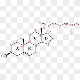 1h Nmr Spectrum Of Cholesterol, HD Png Download - thug life png