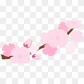 Clip Art, HD Png Download - cherry blossom png