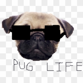 Portable Network Graphics, HD Png Download - thug life png