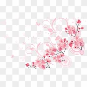 Blossoms Png, Transparent Png - cherry blossom png