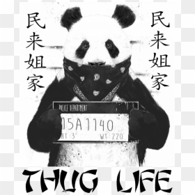 Bad Panda, HD Png Download - thug life png