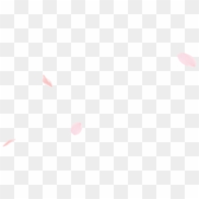 Circle, HD Png Download - cherry blossom png