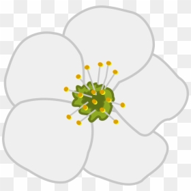 Cherry Flower, HD Png Download - cherry blossom png