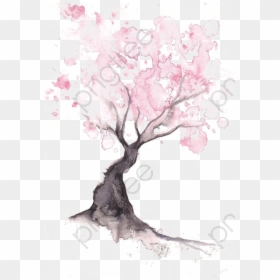 Easy Watercolor Cherry Blossom Tree, HD Png Download - cherry blossom png