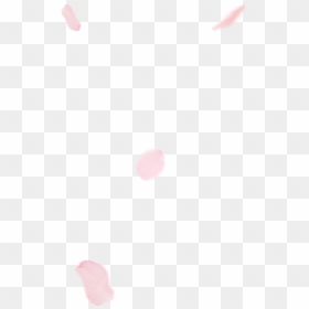 Illustration, HD Png Download - cherry blossom png