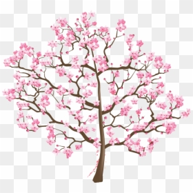 Cherry Blossom, HD Png Download - cherry blossom png